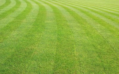Mowing and Lawn Maintenance Services